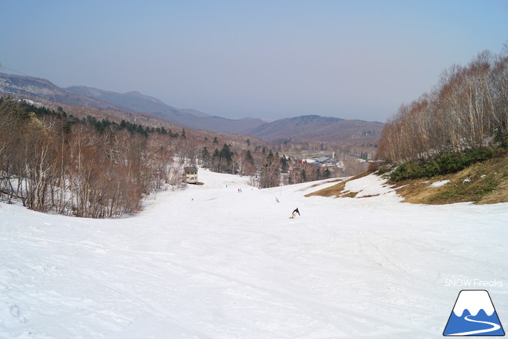 サッポロテイネ 現在積雪 215cm。山麓まで思いっきり滑れます！